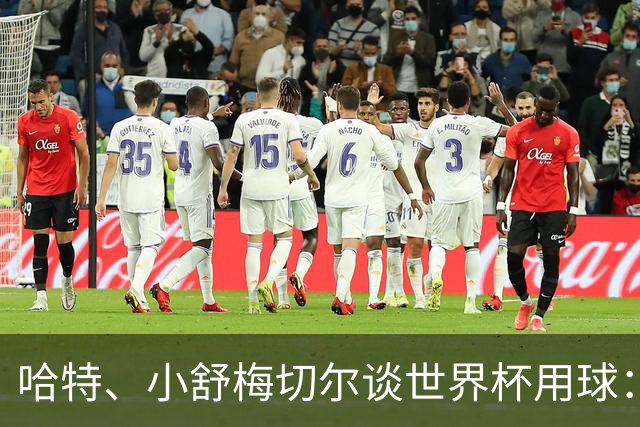 哈特、小舒梅切尔谈世界杯用球：这球肯定有问题，远射太多了